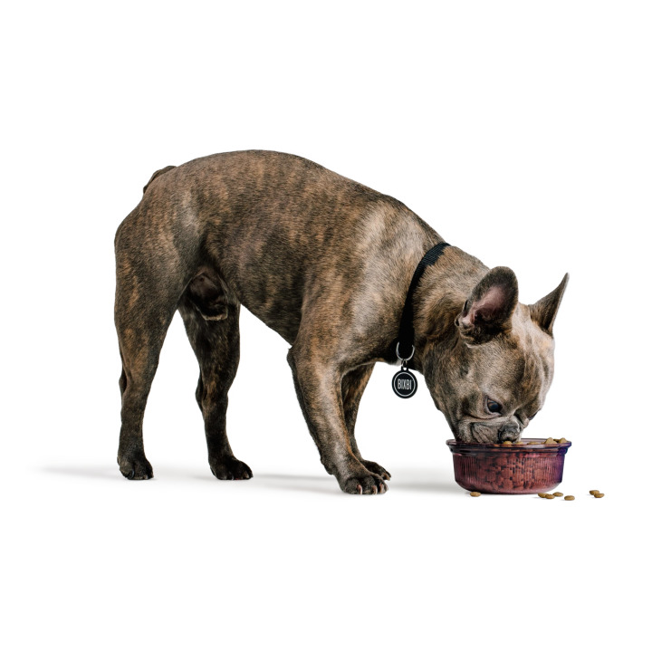 Droogvoer voor honden