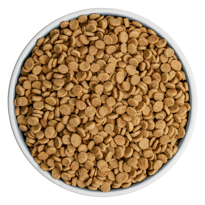 Cibo secco per gatti